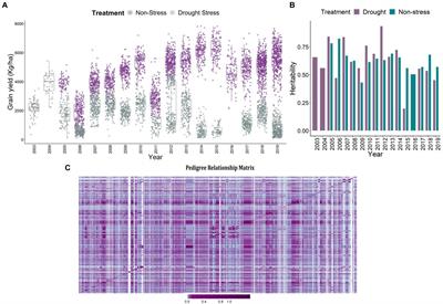 Optimizing predictions in IRRI’s rice drought breeding program by leveraging 17 years of historical data and pedigree information